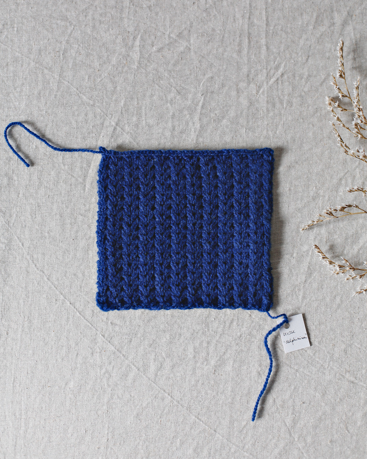 De Rerum Natura Ulysse